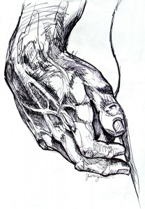 Statue of David Replica Hand I