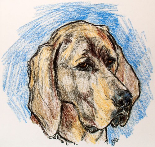Hound Drawing