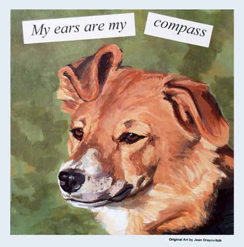 My Ears Are My Compass
