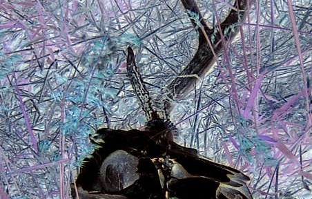 Untitled I