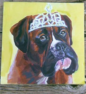 Boxer 2008