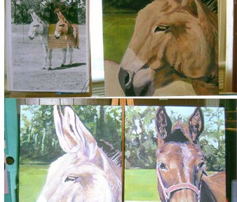Jack the Donkey