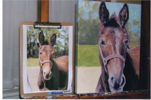 Lillie the Mule