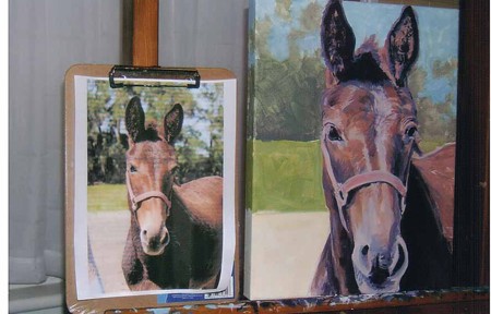 Lillie the Mule